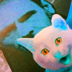 4747115153065902387790593868107453782499677024781155622119190053273590562817