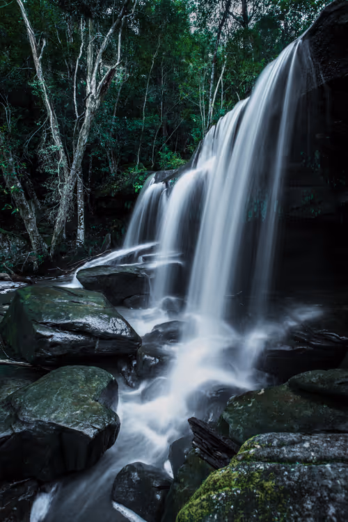 Item #11717075435639617062538583051799023982813876484308334407242089927263509282817 Media