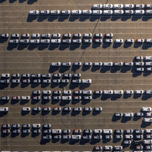 The Collectibles - Constructed