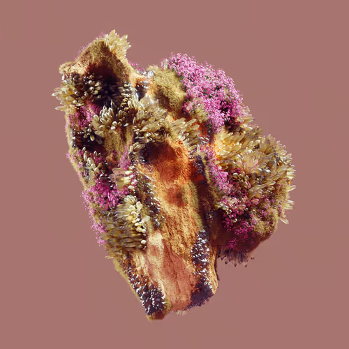 Item #29025029791859050124720480462956340608557292548544538512690378007215232516097 Media