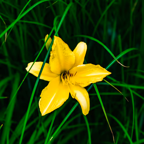 103686277115178527412315898511256896200639863012682764514094226629893608701953