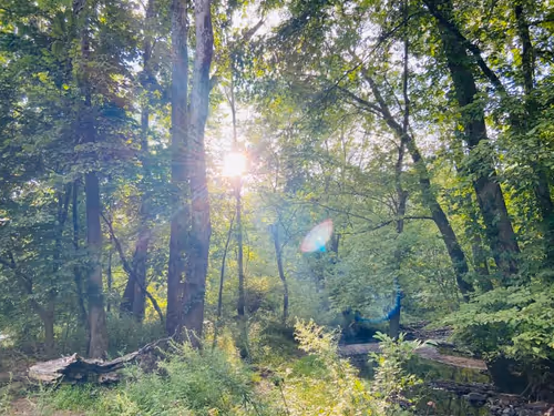 Item #107370762706201389865070877469231862582536803893337225989360089107619418996737 Media