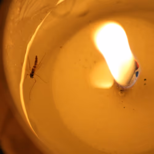 51124555051901614330264480006545612592022390906904121289505624519527771406337