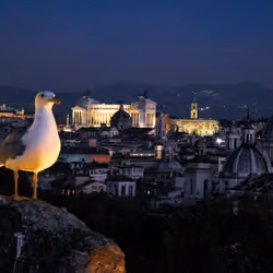 ROMA#26