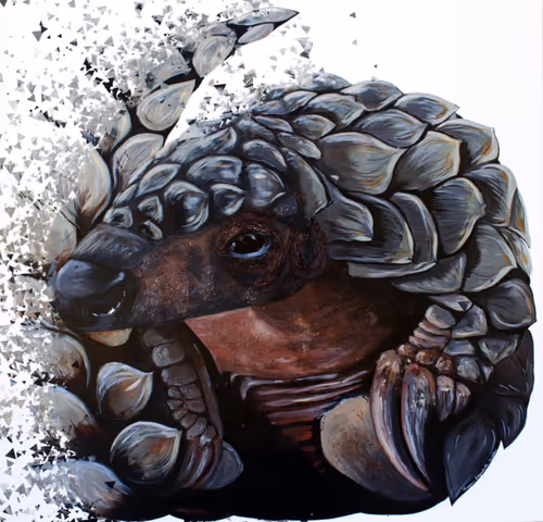 Item #64902397849780822463868627130712450881777664741373901153445319887871631425537 Media