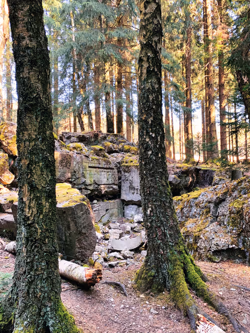 Item #105824048542883402372439637698233055099864619322085015812038144093468638576641 Media