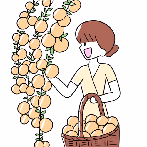 Item #20184119792610696258889692427433454943724635478259577896991244755513431293953 Media