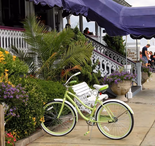 Item #41013704286635162959004487776095067176603519769359421915548602586658714419201 Media