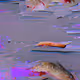 114767960593057128753242425790556456736894957520065485350276644740476941893633