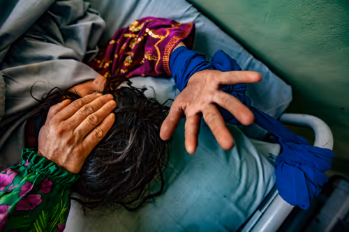 Item #5606426941725502535038272761259107725542531596447892324367451159531853185025 Media