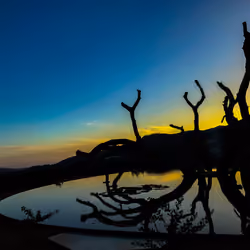 Valle De Guadalupe Sunset