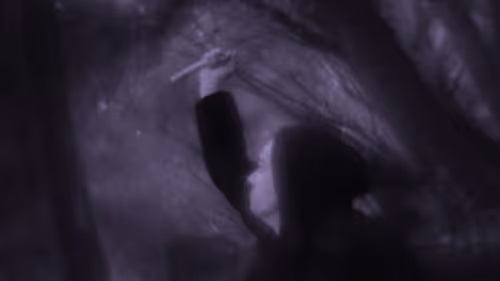 Item #103537636428956788553245855199027552722548685417663804032293973234945785593857 Media