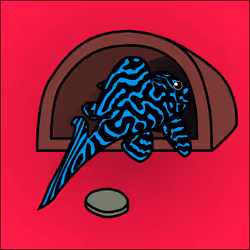 81664083123670143983968740139941474364733981378414170565535210811049042247681