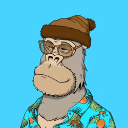 Chilled Kong #1522