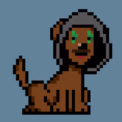 PunkDog #1568