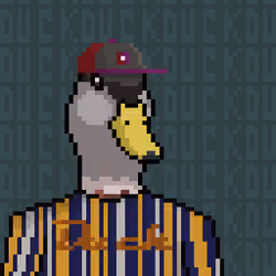 Duck #87
