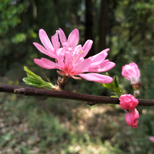 Untitled Collection #78888903