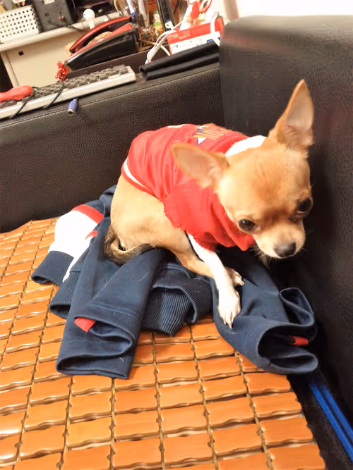 Item #15302775719274355672256911249162138837258661550744590229590932595391481249793 Media