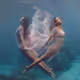 SEA-ALCHEMY Collection - old V2