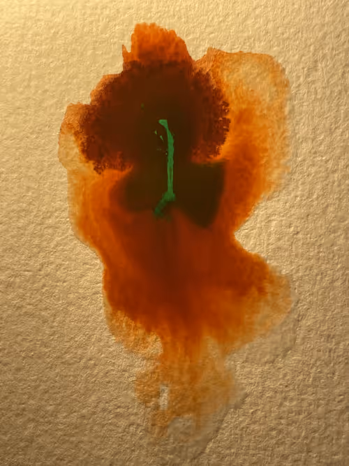 Jellyfish II