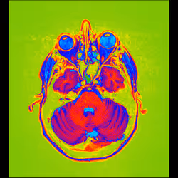 64162533542198579898252916190583583845604629893829087458582976000879203713025