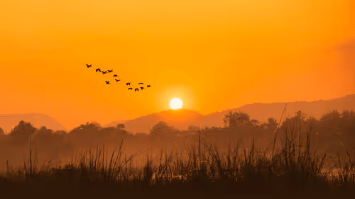 The Visuals of North East India