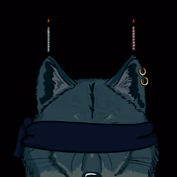 CryptoPack 6651