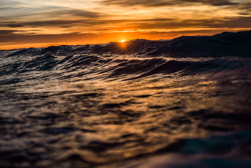 Item #31148491636585346537962268963820775448082611887353853734618727432024538218497 Media