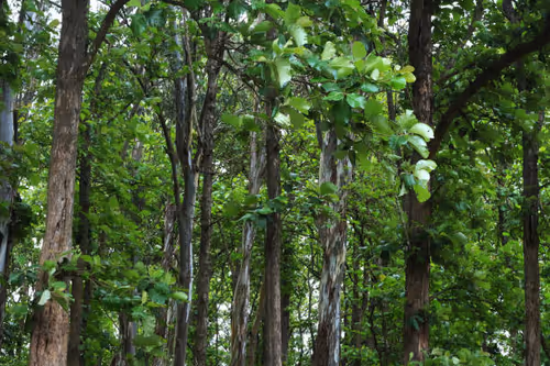 Item #104698403278380687011041837901215082247017048865897463251174603235791499952129 Media