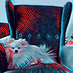 PEPITO THE BOSS