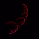 88265005149069327233556250196630752247496013698453539334435371663264512475137