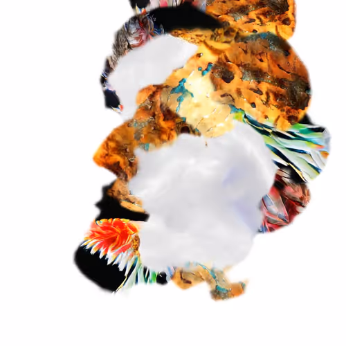 Face Rivatives