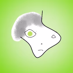 Typhus