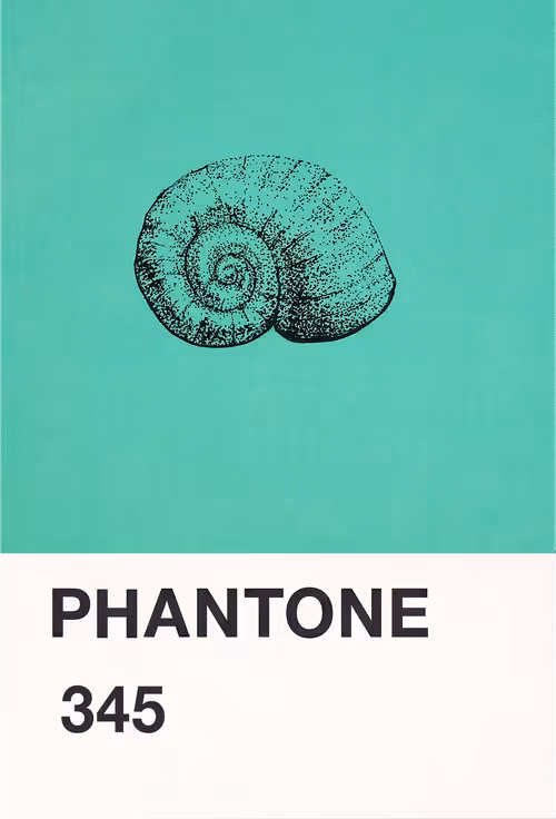 Item #23619072769629648887099014645842319039725167025197022934232545164001867202561 Media