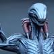 77674055385792369752008495056211315122788665474141431819384534170147865232320