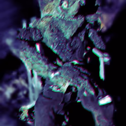 Mossy Man