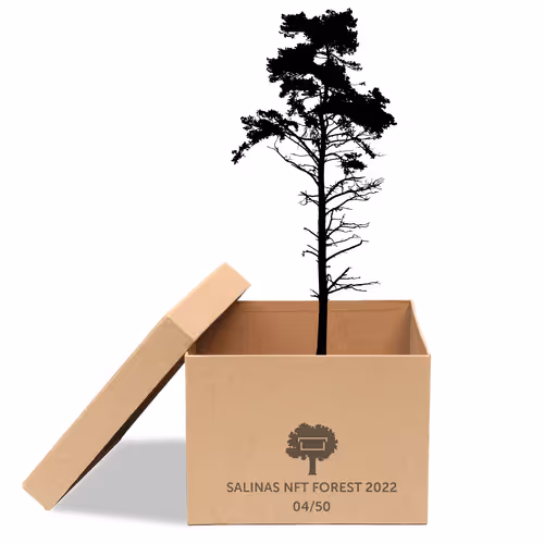 Item #63532776318757439562276927313719991273687356279339277108967620951934605721601 Media