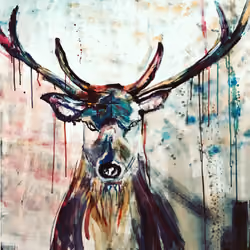 Dear deer
