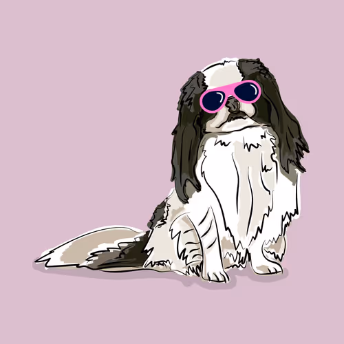 Item #76474225826514620480690138783239987552021970071941934033430511983969712472065 Media