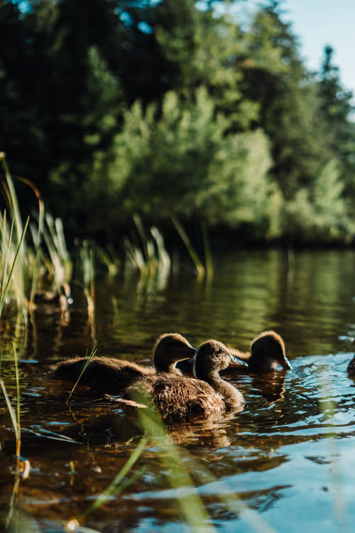 Item #11823596008958279649745844571271956333298936525700857190365537787490278047745 Media