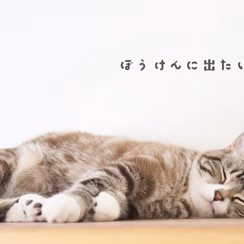 98375260972207452488921693803208451811643096771547350445513509679804736077825