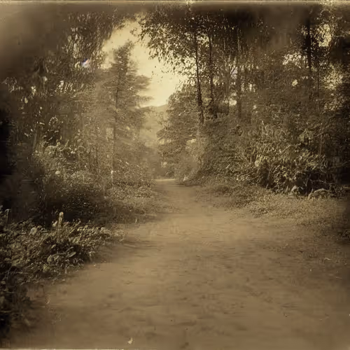 Item #83280107070391697529376828382192850557060699628127089263691584834376868823041 Media