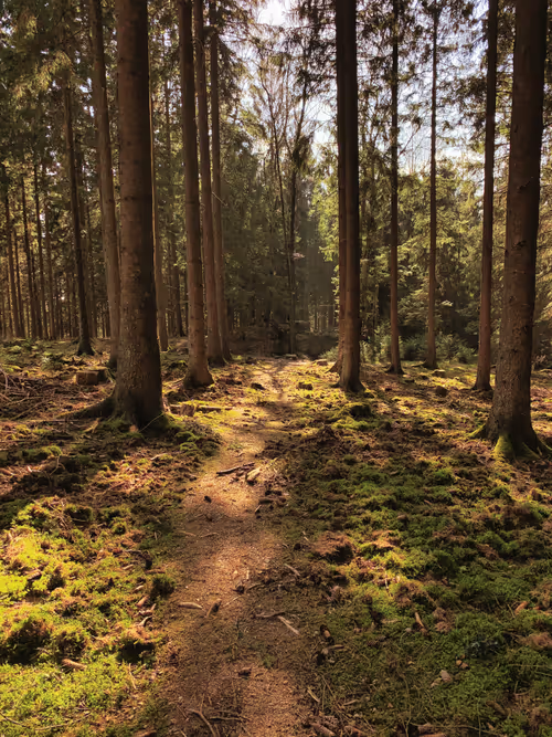 Item #105824048542883402372439637698233055099864619322085015812038144090170103693313 Media