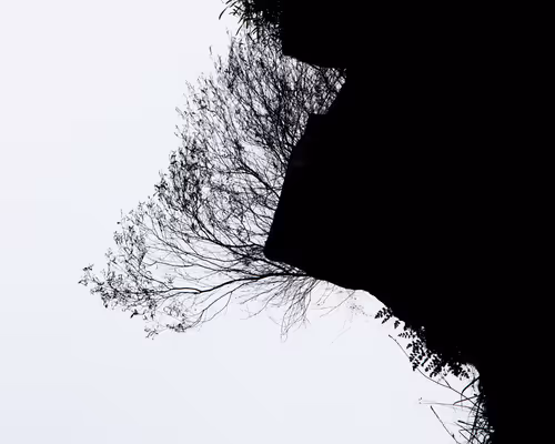 Item #28266442489825911887968052665080617766944267230687944042155433047238809485313 Media