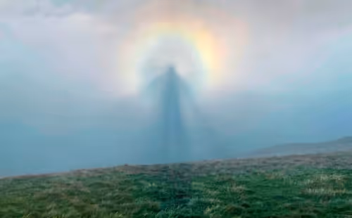 Item #115375755332542330133237168944702422006973148153706349190887072617413979668481 Media