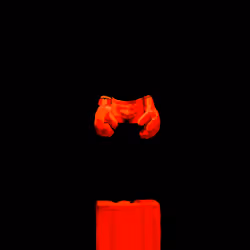 Young Fighter Totem #098