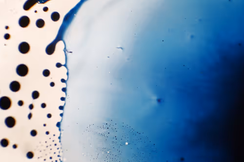 Item #9251341193756129610411101804839683921415719585297066577807806978800937336833 Media