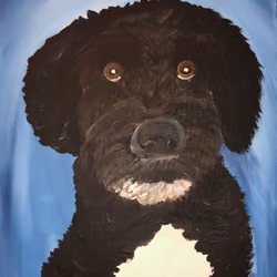 Portie Portrait