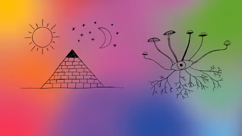 Item #114794309109714378036143146860346183178034451961581202957715216842068705935361 Media