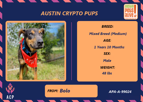 Item #17951378556605612276483806045649535824451571419947225201384628499656873082881 Media